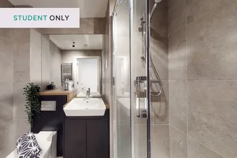 Studio to rent
