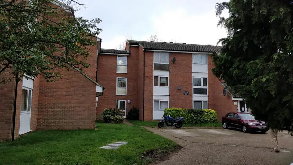 1 bedroom flat to rent