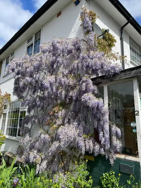 3 bedroom house for sale