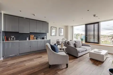 1 bedroom apartment to rent